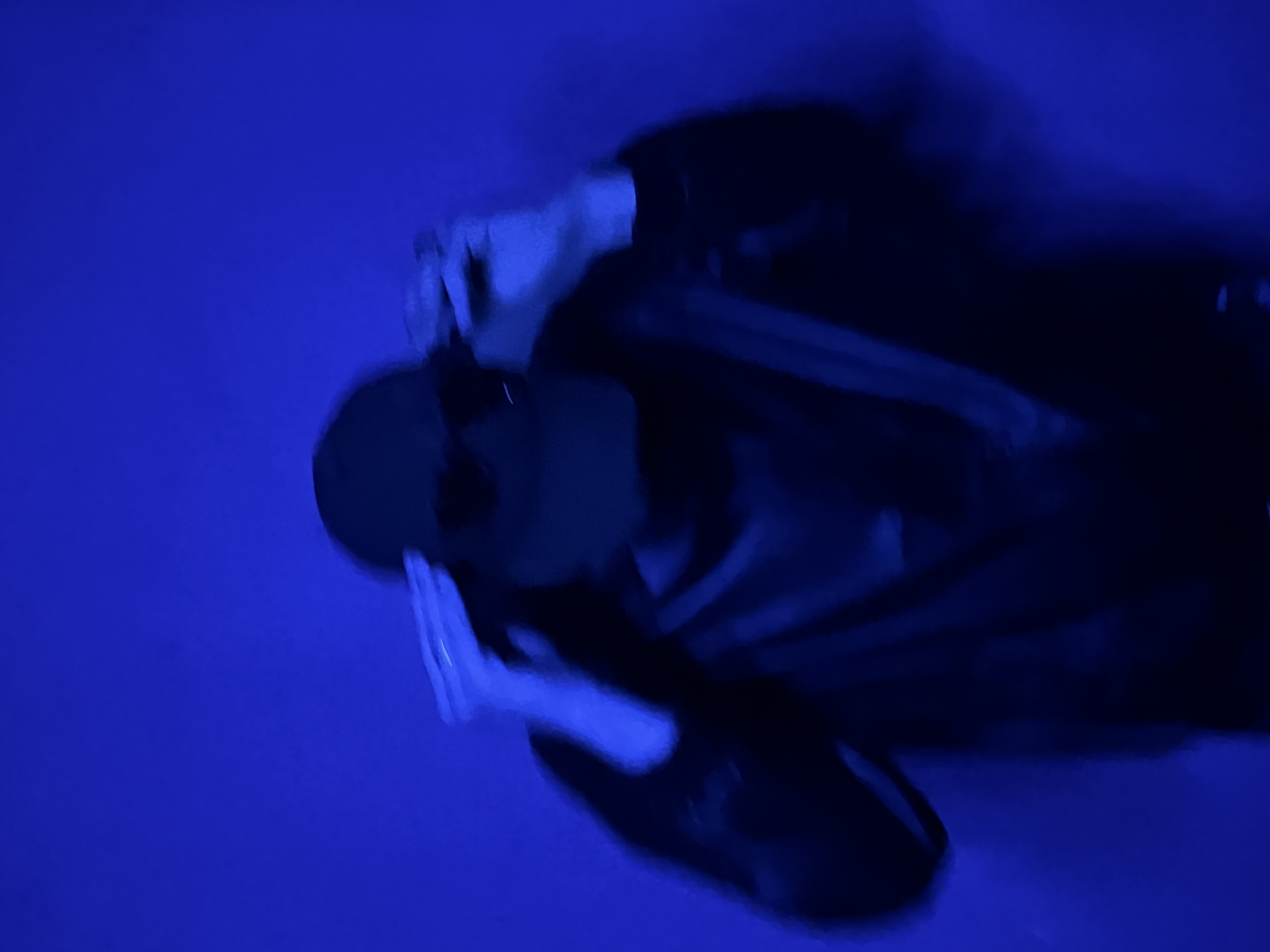 SCHATTENTANZ live